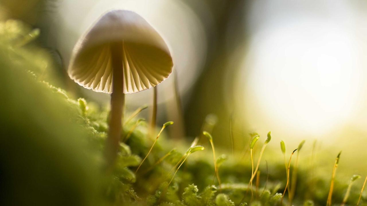 y6英亚体育下载指南